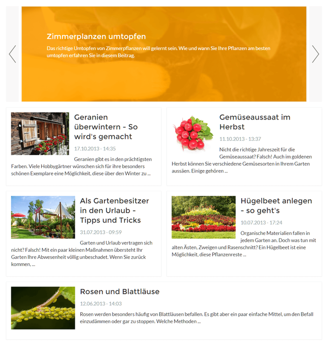 News Box mit Slider - (oben) und Flex Box - Template (unten)