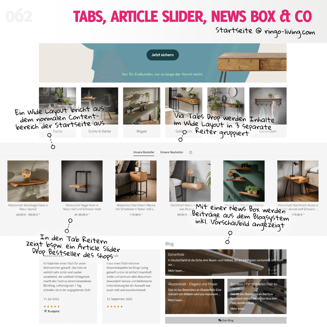 Flex Layout, Wide Layout, Article Slider, Tabs und mehr auf ringo-living.com